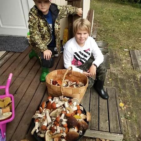Holiday home No_stress Parikkala